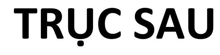 Trục sau 